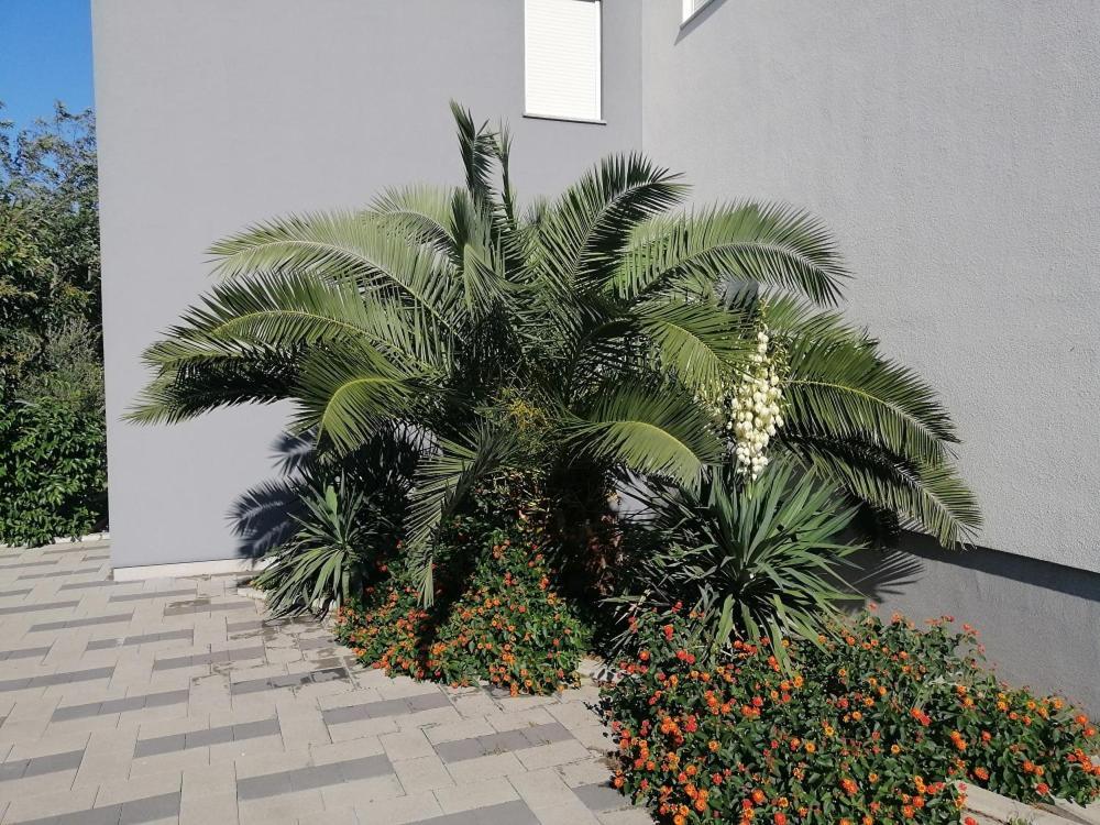 Apartamento Zatonka 2 Zaton (Zadar)
